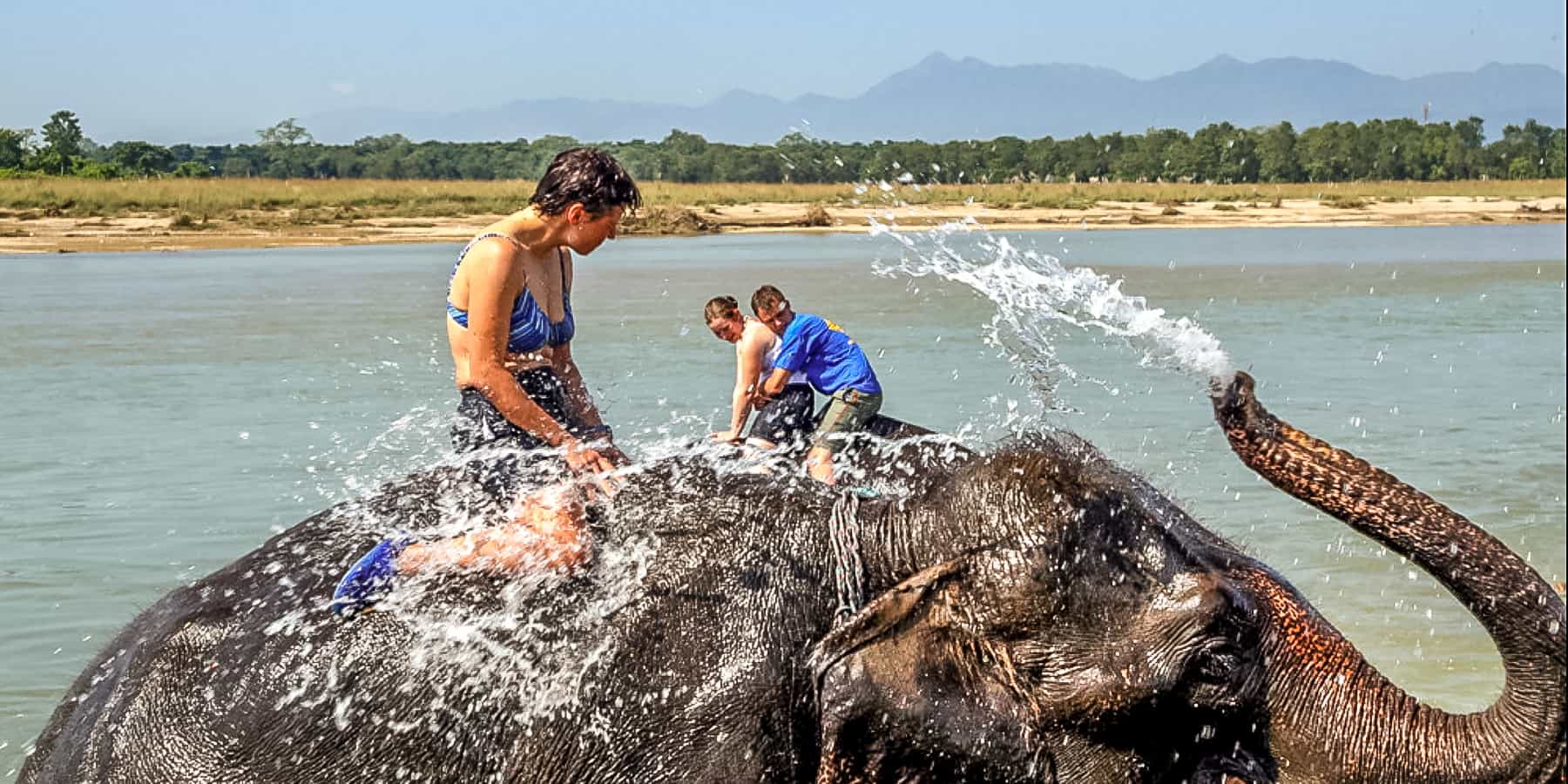 Wildlife Safari in Nepal: National Parks, Animals & Jungle Safari Tips