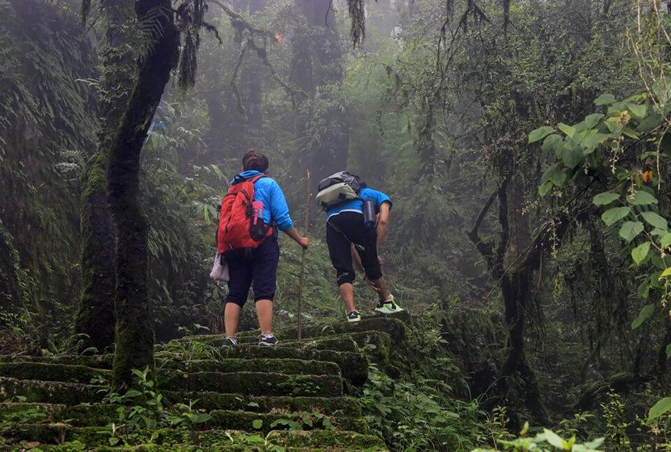Essential Nepal Travel Tips: Visas, Transportation, Safety, and Packing
